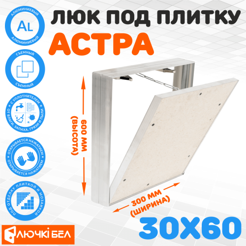 Фото Люк под плитку со съемной дверцей Астра 30х60 в интернет-магазине napolke.by